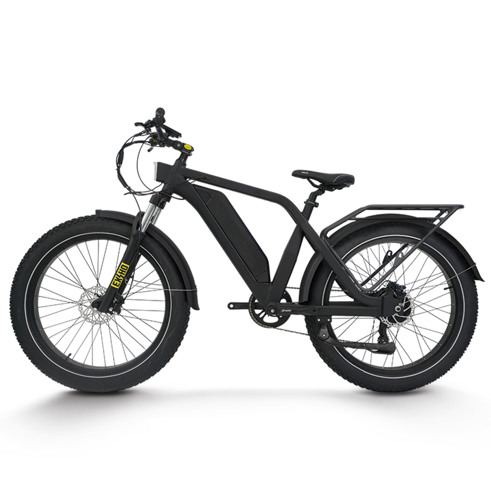 Sepeda Listrik untuk Dewasa 15 - 48V 1500W Rear Hub Motor With Battery ulasan dan harga