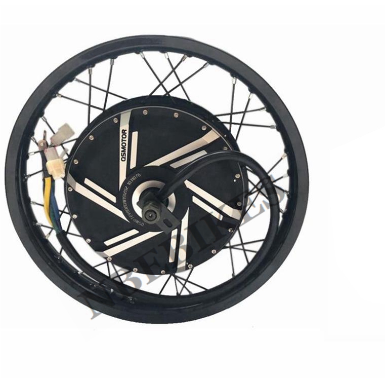 QS 273 Hub Motor Ruji (50H) 12 - 12000W Electric Motorcycle Hub Motor ulasan dan harga
