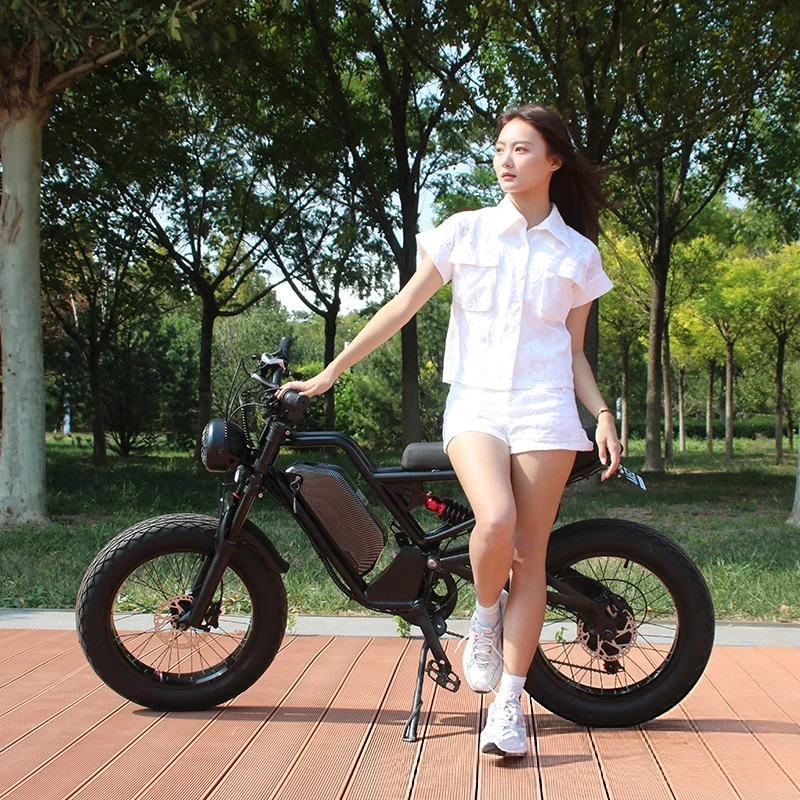 Baterai lithium SXLL SXLL13Ah  - 48V 1500W Rear Hub Motor With Battery ulasan dan harga